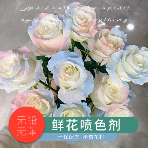 碎冰蓝鲜花喷色剂玫瑰鲜花珠光喷漆花店用品染色喷雾彩喷着色剂