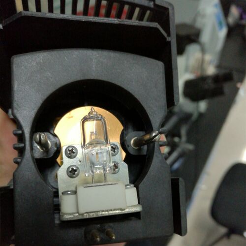 G4两针插脚卤素灯泡 6V20W显微镜用小灯泡 30W金相显微镜灯源