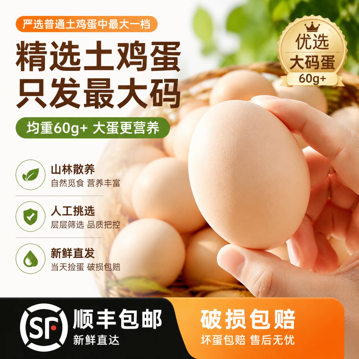真正的土鸡蛋大码鸡蛋大个60g无抗鸡蛋30枚弄进新鲜鸡蛋批发整箱