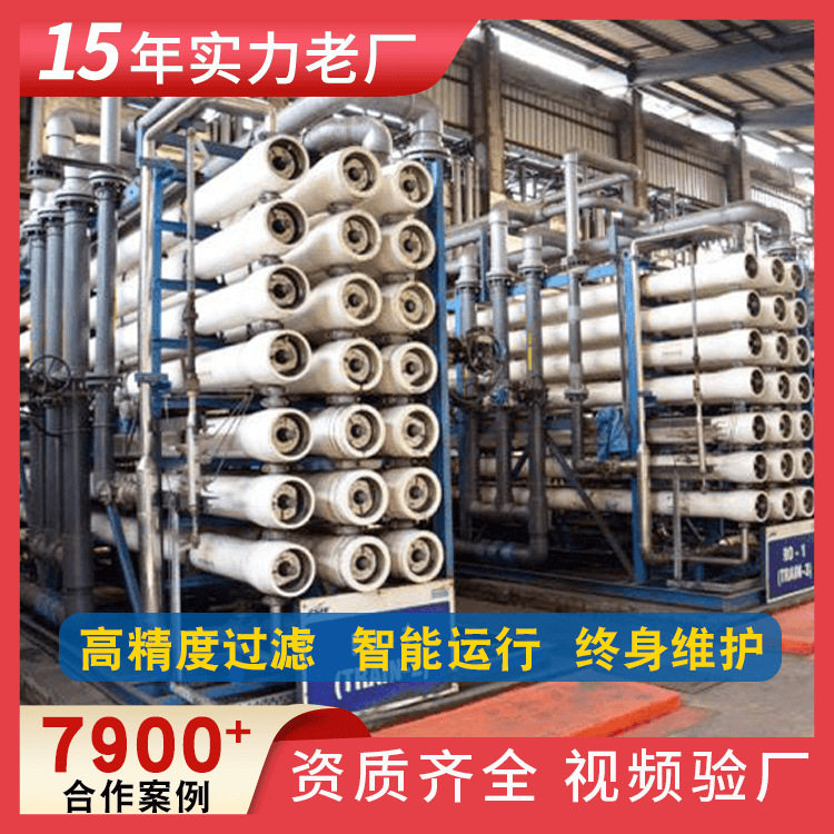 工业反渗透纯水设备生活饮用除盐水净水设备制造业去离子水设备