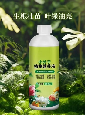 【新升级】小分子有营养液机家庭园艺促进生长温和养护不伤根苗JC