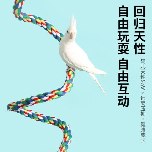 鹦鹉攀爬螺旋棉绳吊绳鸟笼装饰虎皮牡丹玄凤栖架秋千鸟站架子玩具