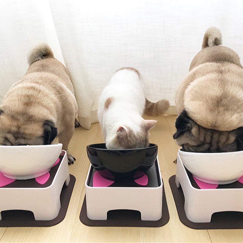 法斗巴哥狗碗 短鼻犬斗牛食盆狗碗陶瓷斜口柯基泰迪宠物餐桌用品