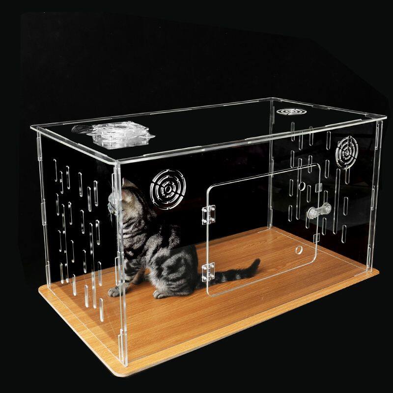 专业亚克力透明猫赛笼赛猫笼猫咪展示笼猫屋快捷安装狗笼子兔笼子