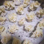 烧友蒸包子专用纸蒸馒头一次性不粘圆形纸垫油纸面包蒸笼包底纸托