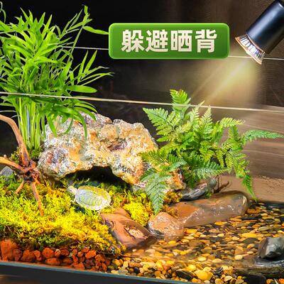 乌龟缸超白玻璃造景家用小别墅饲养箱半水龟养乌龟专用缸生态鱼缸