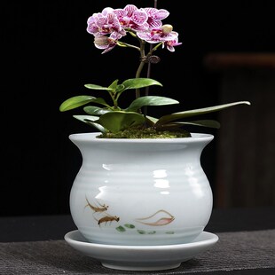 文竹紫砂盆景盆陶瓷小榕树菖蒲蝴蝶兰吊兰花小叶紫檀盆栽多肉花盆