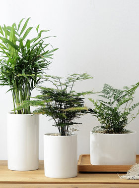 白色陶瓷花盆办公室内桌面绿植盆栽花园阳台简约欧式多肉植物花器