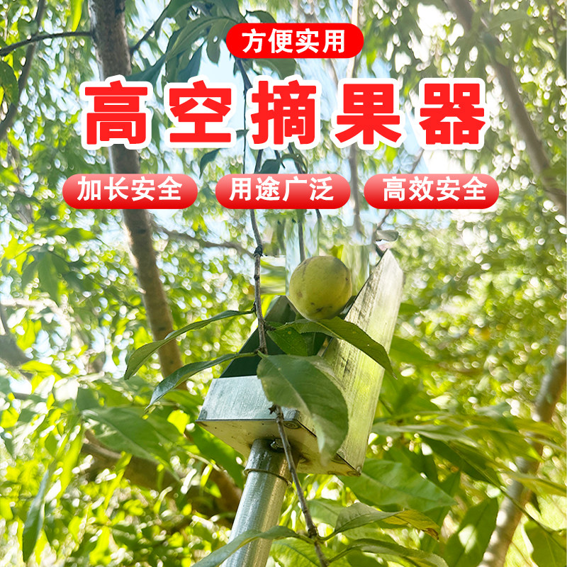 摘酸枣芽神器大全摘采无花果龙眼树上高空处高枝加长采摘果神器头
