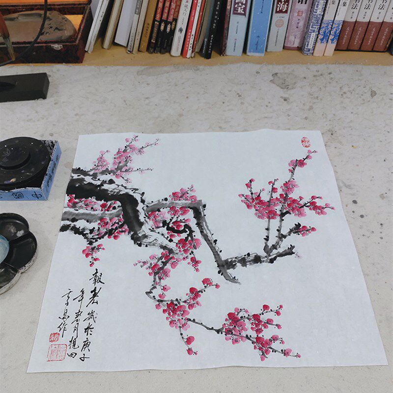 国画梅花手绘客厅装饰画玄关走廊挂画卧室餐厅壁画水墨书画定制