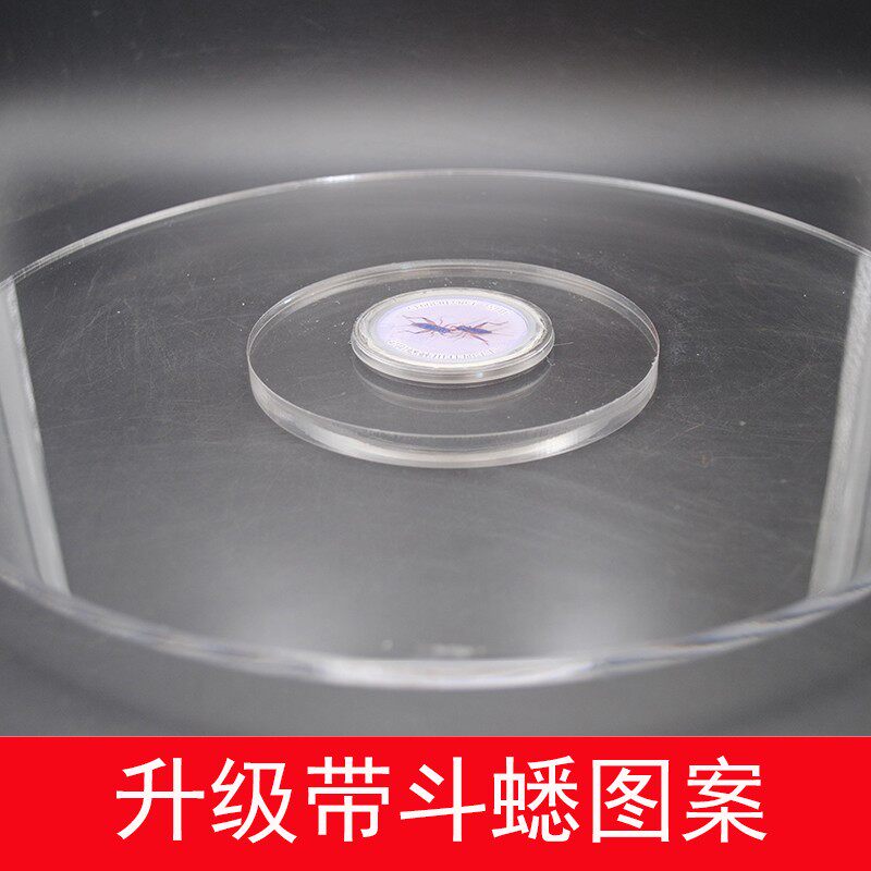 高档蟋蟀斗蟋转盘斗虫斗蟋蟀斗蛐蛐转盘斗虫蛐蛐拍照用具用品包邮