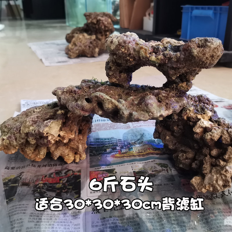 海缸活石海水活石高钙开缸爆藻造景活石海水鱼缸珊瑚礁石造景石头
