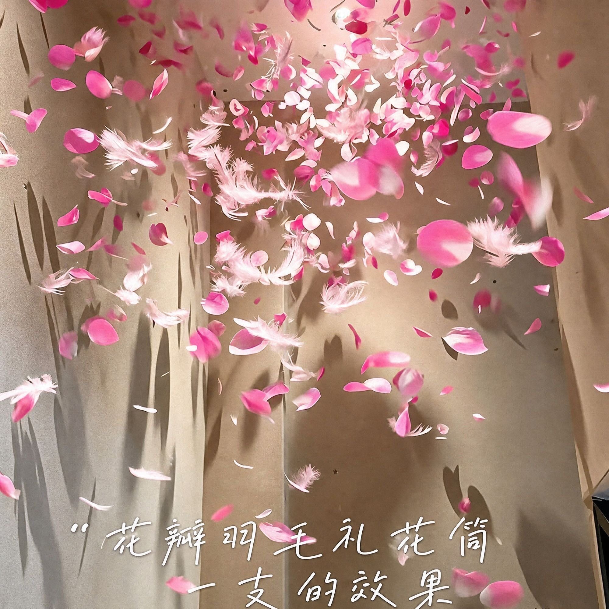花瓣羽毛结婚专用礼花婚礼爆款炮