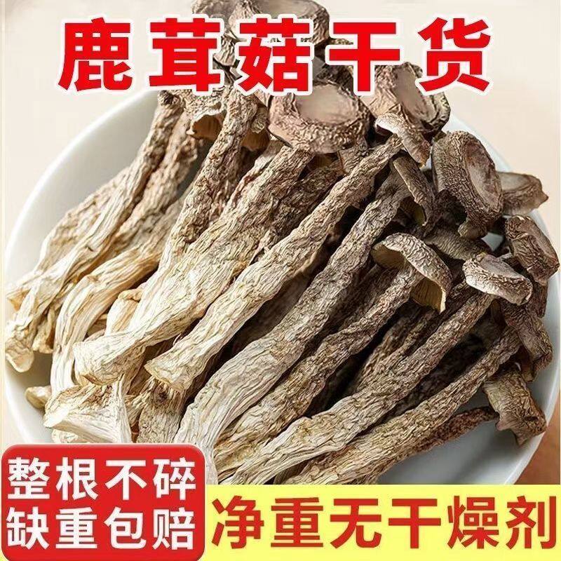 鹿茸菌新货鹿茸菇无硫新鲜香菇干货鹿茸菇可批发煲汤食材P