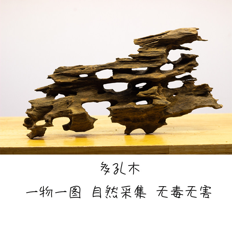虾木沉木多孔天然镂空蜂窝沉木小鱼虾躲避窝产卵洞巢穴鱼草缸造景