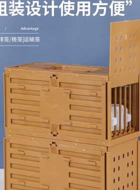新款快递运输鸟笼画眉鸟小排笼媒笼鹦鹉外出便携塑料胶格笼可组装