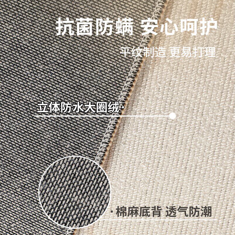 2025新款地毯客厅大尺寸满铺沙发可擦免洗阳台防滑卧室床边毯地垫