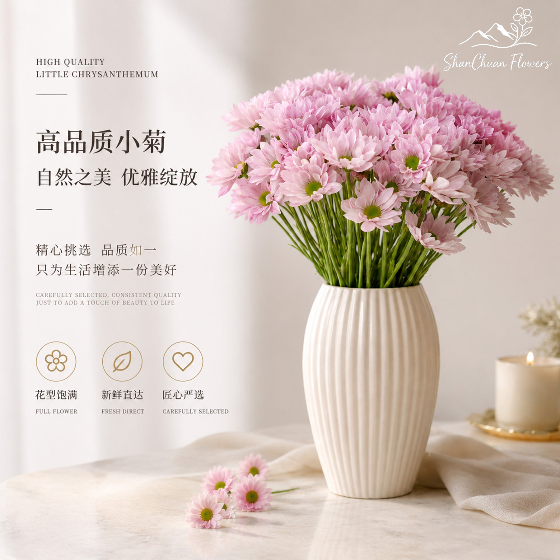 顺丰冷链｜高品质小菊鲜切花多头