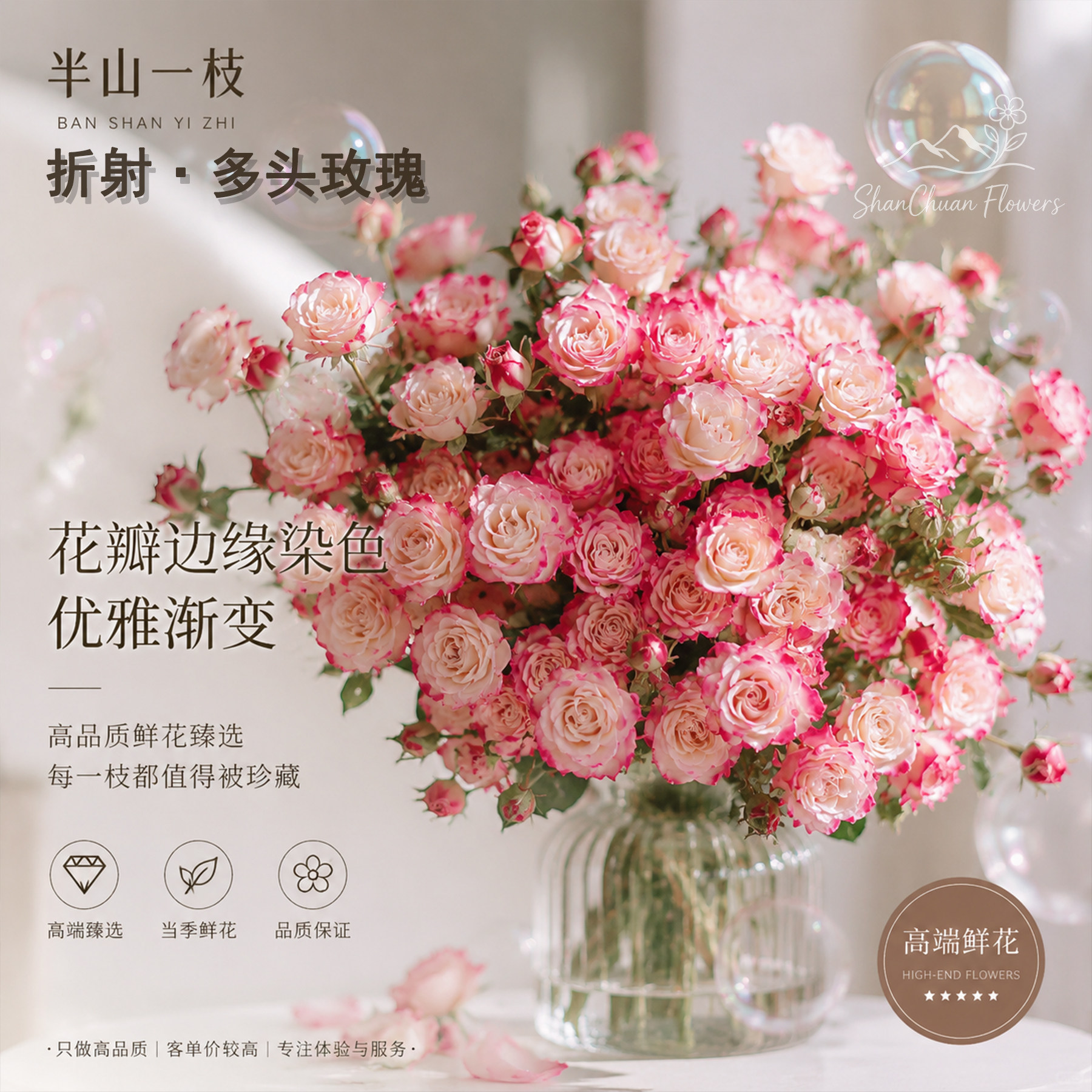 顺丰冷链粉白多头月季鲜切花
