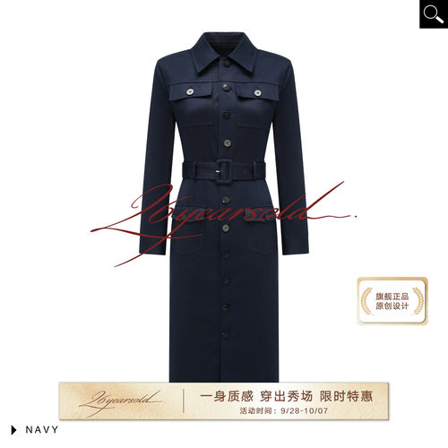 优雅工装风收腰连衣裙