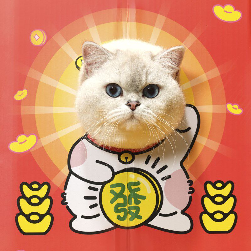 噗扑实验室龙年财神庙双层猫抓板猫窝瓦楞纸硬纸箱玩具磨爪神器