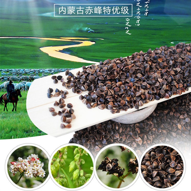 全荞麦枕头荞麦皮枕芯成人颈椎保健枕内蒙甜荞麦壳苦荞麦壳填充枕