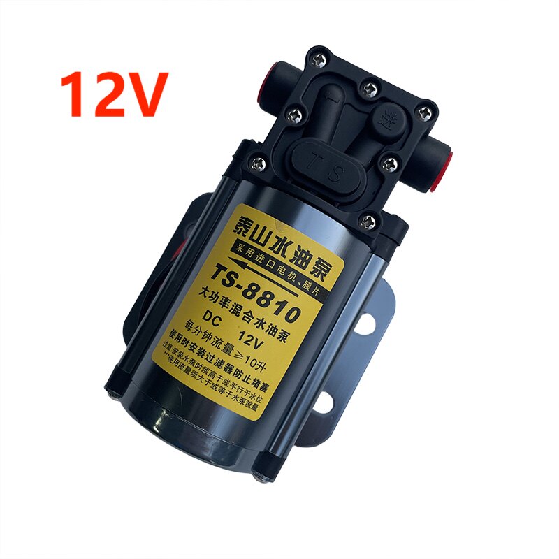 汽车油箱电动抽油泵抽油神器24v12v高压水泵汽油柴油全自吸泵水泵