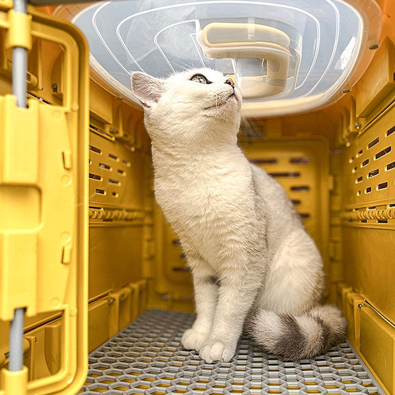 航空箱狗猫可折叠猫笼外出宠物携带箱猫咪外出包狗车载狗笼小型犬