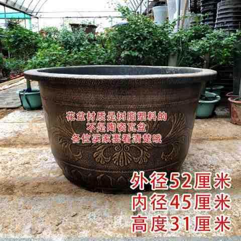 特大花盆塑料加厚陶瓷铁树花盆口号径60厘仿专米龙缸果69885树用