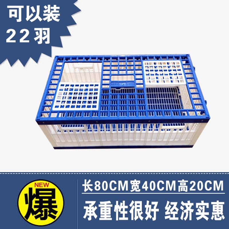信鸽优质塑料放飞笼赛鸽训放笼鸽子运输笼比赛笼鸽子集训笼通道笼