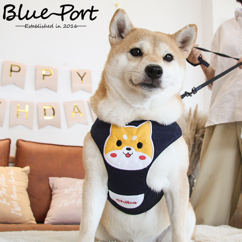 blueport日式宠物中小型犬用牵引绳胸背带遛狗绳防挣脱带反光安全