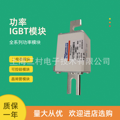 全新熔断器保险W076149/PC91UF15C100TF X076150/PC91UF15C125TF