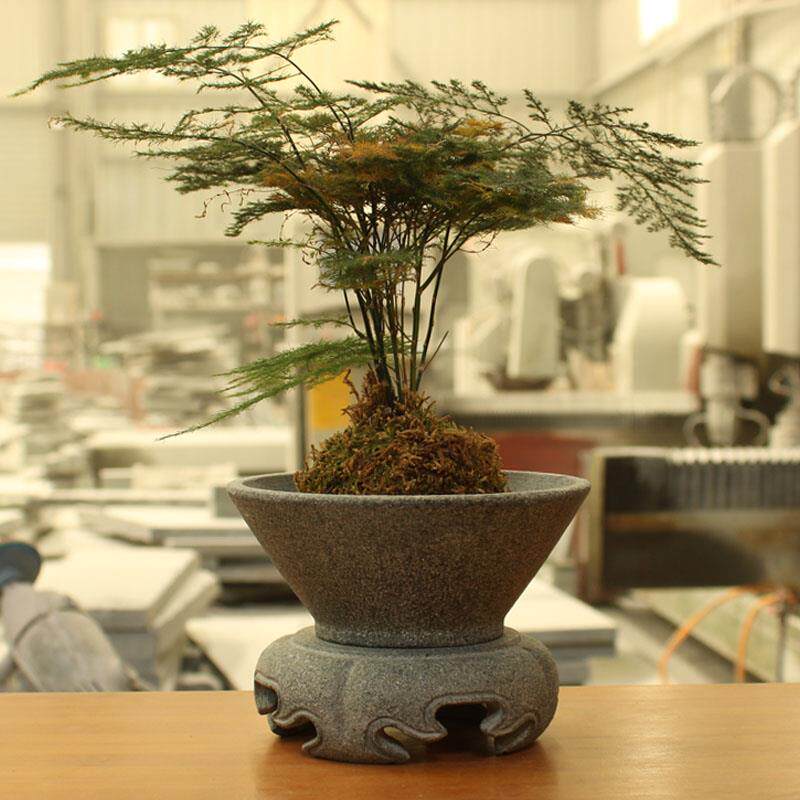 花盆青石新款天然石头桌面盆栽植物摆件小号盆景花器原石雕刻装饰