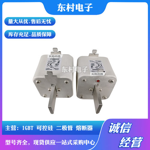熔断器170M8500 170M8501 170M8502 170M8503 170M8504全新现货