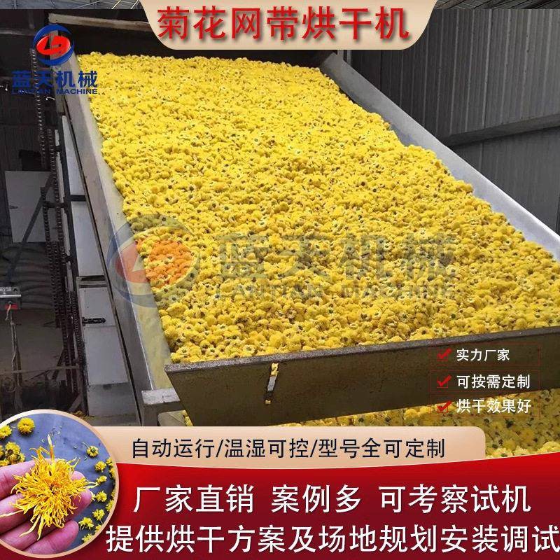 菊花大型自动输送烘干机网带式野菊花风干机工业用菊花烘干设备