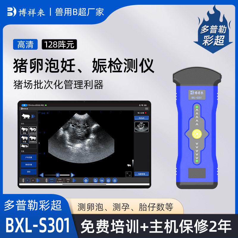 母猪卵泡发育检测猪场批次化管理B超机无线猪卵泡大小检测