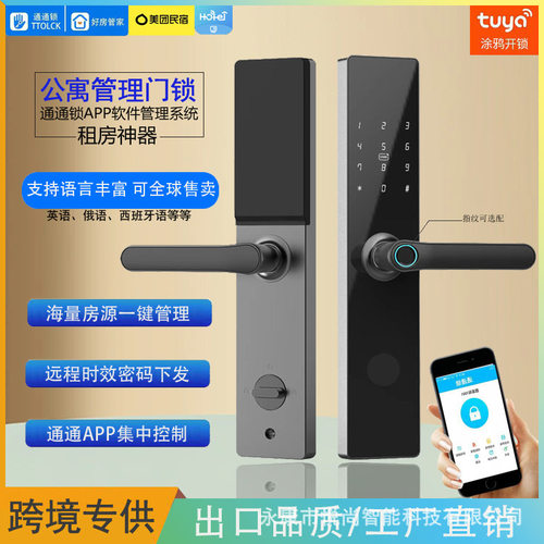 TTlock通通锁公寓民宿出租房酒店刷卡涂鸦锁室内智能门锁指纹锁