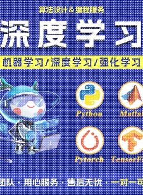 python代编程深度学习机器学习算法代做跑代码指导编写调试跑通
