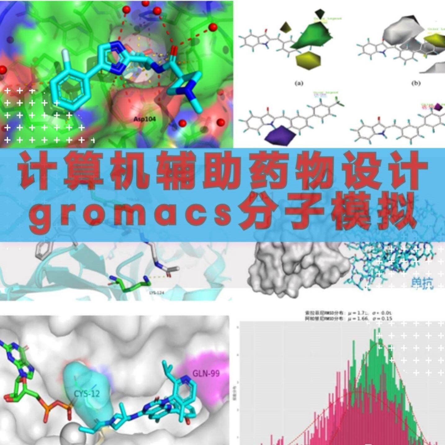 gromacs分子动力学Amber模拟生物分子计算机辅助药物设计
