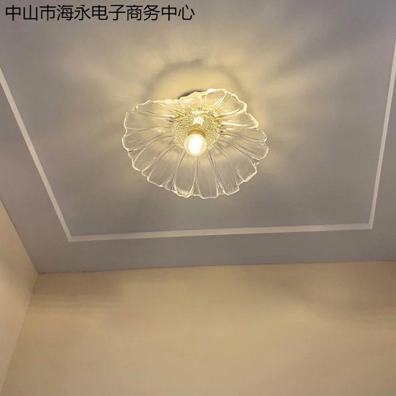 网红过道吸顶灯爆款阳台走廊入户玄关衣帽间花型水晶玻璃灯具图片