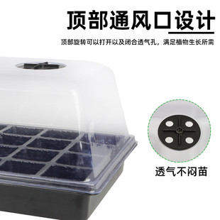 育苗盒高盖24孔扦插盆植物育苗盘穴盘种植塑料秧盘播种育苗盆蔬菜