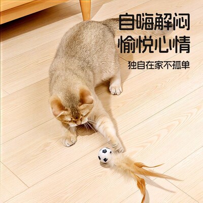 猫咪逗猫棒磨牙趣味弹力球带羽毛布偶猫最爱自嗨解闷神器网红玩具