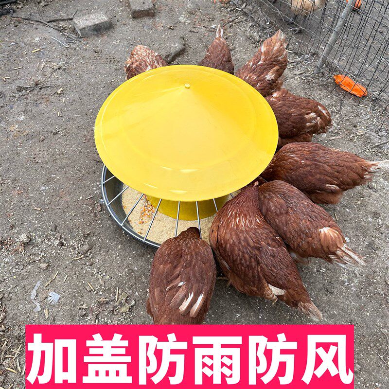 鸡鸭鹅料槽食槽自动喂料采食器喂鸡神器家禽喂料桶鸡槽食槽圆形