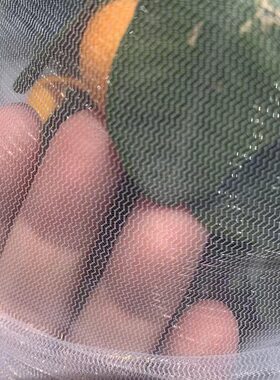 果树防虫网袋防鸟用的纱网农用蔬菜防虫网莲雾果樱桃多肉防虫鸟网