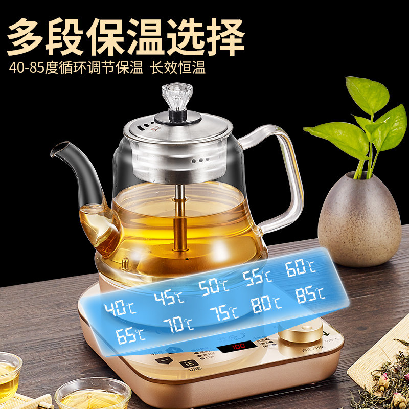 黑茶专用喷淋式煮茶器小型玻璃蒸茶器全自动蒸汽办公室烧水壶泡茶