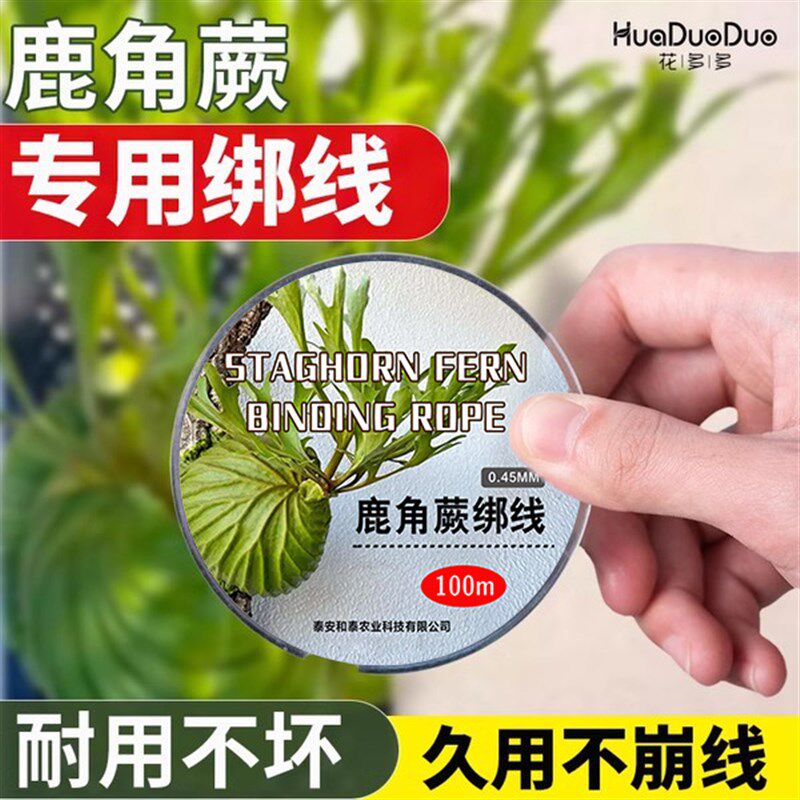 尼龙线鱼线鹿角蕨上板线板植轮胎线线透明水晶鱼线上板材料DIY图片