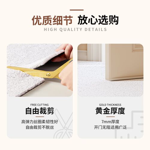 入户门地垫丝圈门垫进门防滑垫子除尘耐脏可裁剪脚垫家用地毯门口