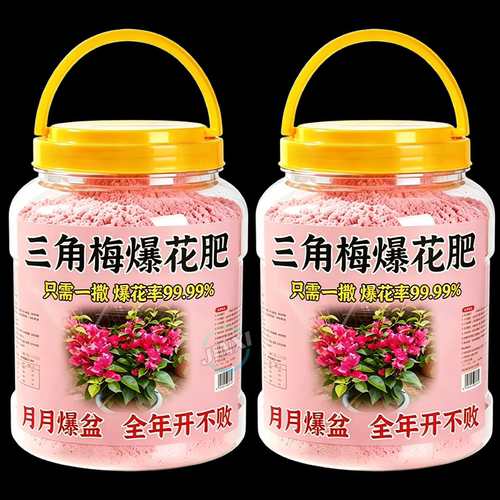 三角梅花促芽壮根开花粉正品