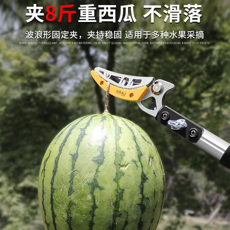 摘果神器水果荔枝龙眼杨梅柿子枇杷梨可伸缩高空采摘果子加长剪刀