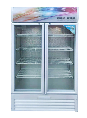 保鲜柜冷藏展示柜冰柜商用大容量双门饮料柜三门开冰箱立式冷柜